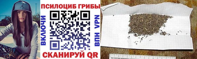 купить Малоярославец Галлюциногенные грибы прущие грибы