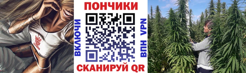 хочу   Малоярославец  Бошки марихуана SATIVA & INDICA 